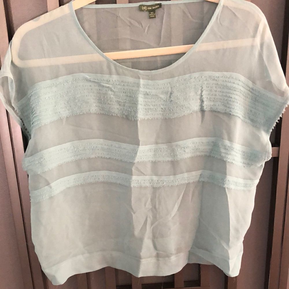 The Letter 100% silk sea foam green cap sleeve top sheer XS